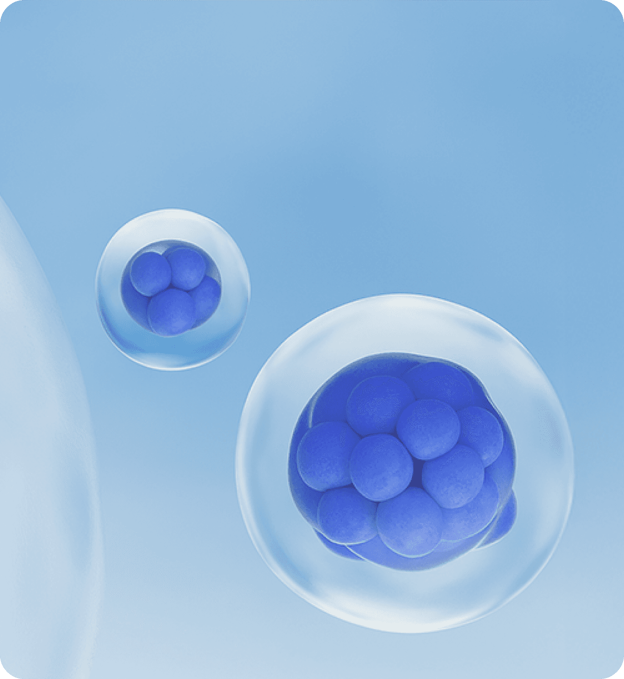 Pregnancy after Menopause