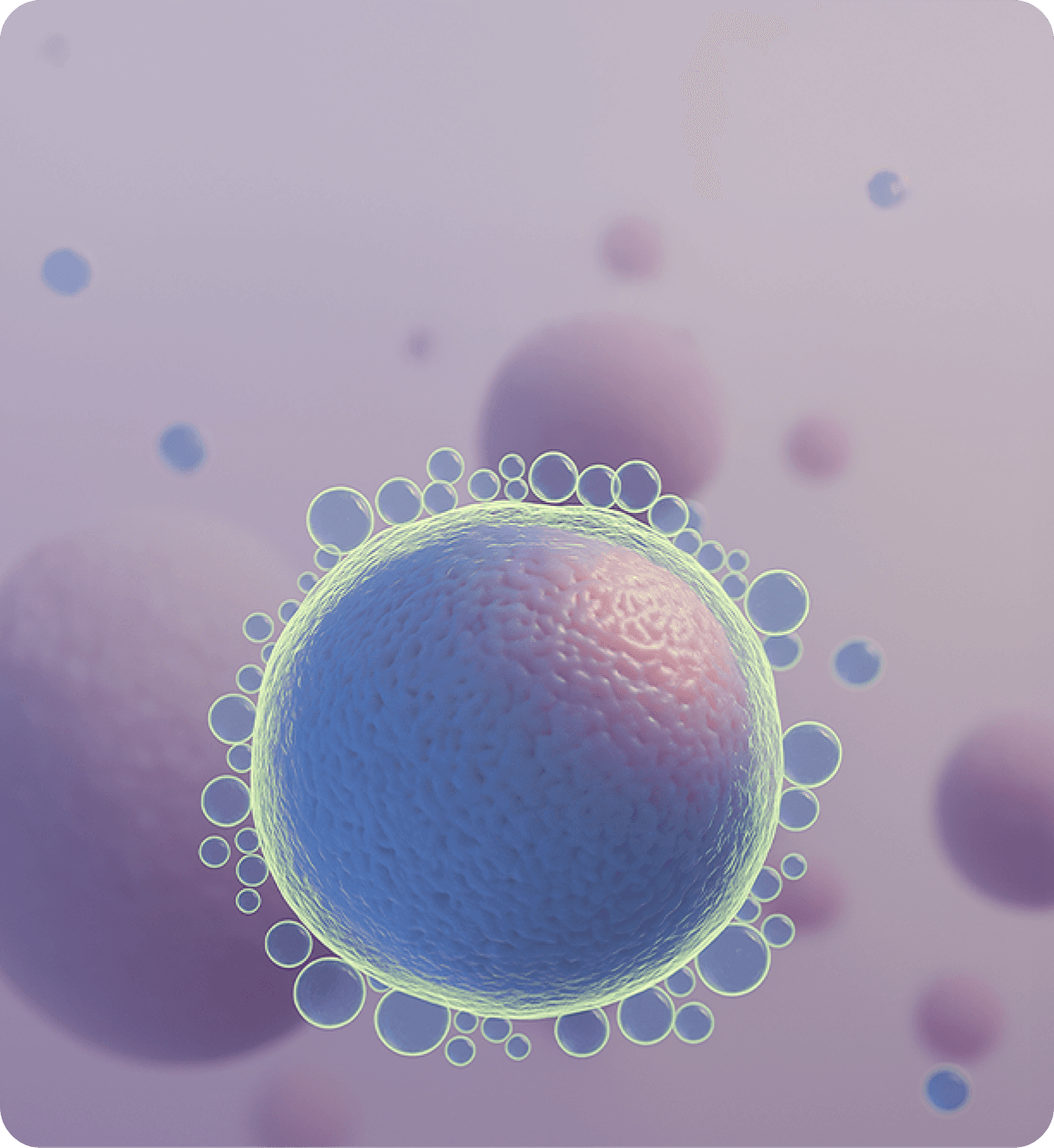 Embryo Donation (ED)