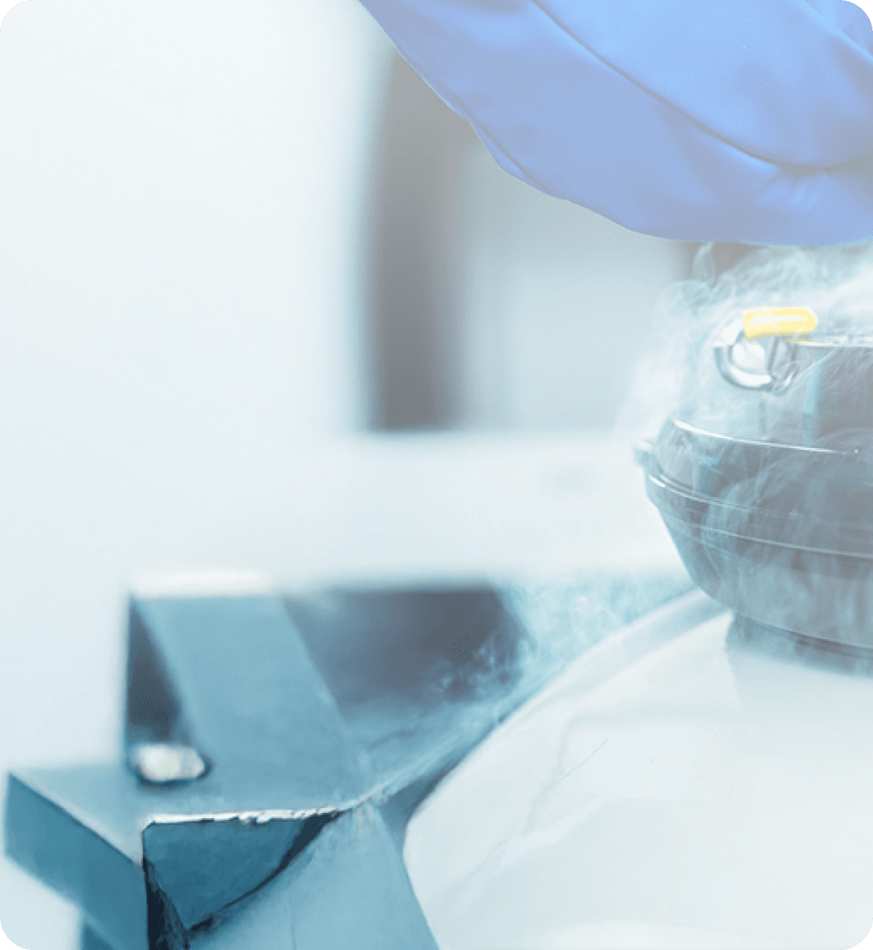 Freezing/Vitrification