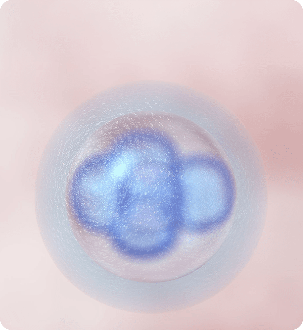 Oocyte Donation (OD)