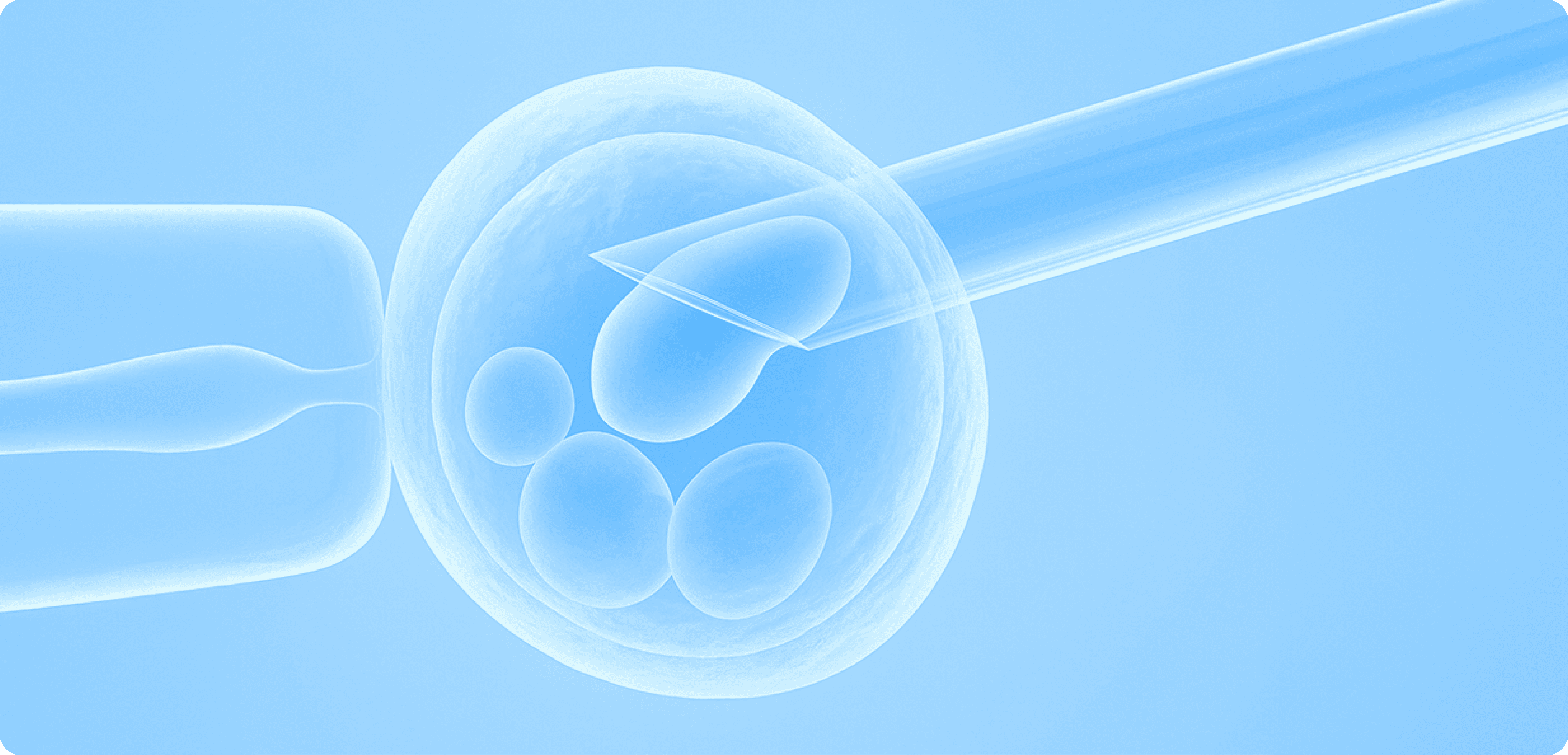 Oocyte (Egg) Donation