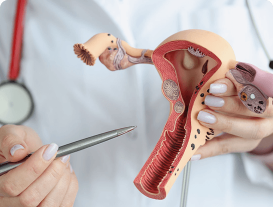 Ovarian Stimulation & Monitoring