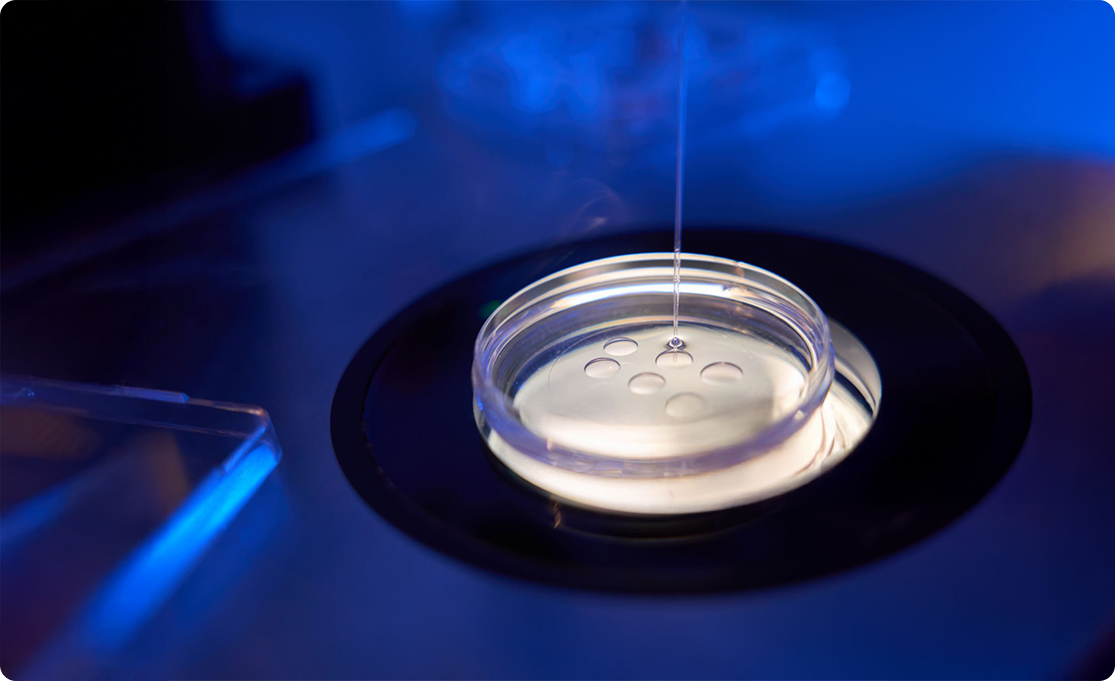 Advanced Vitrification