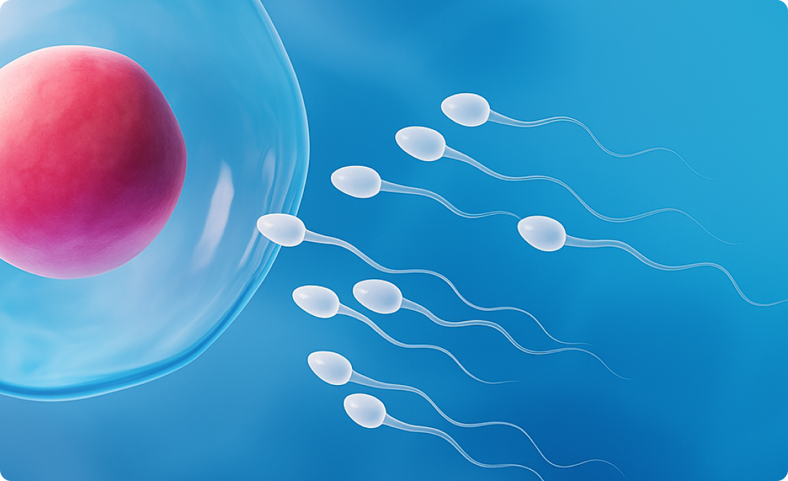 Comprehensive Evaluation