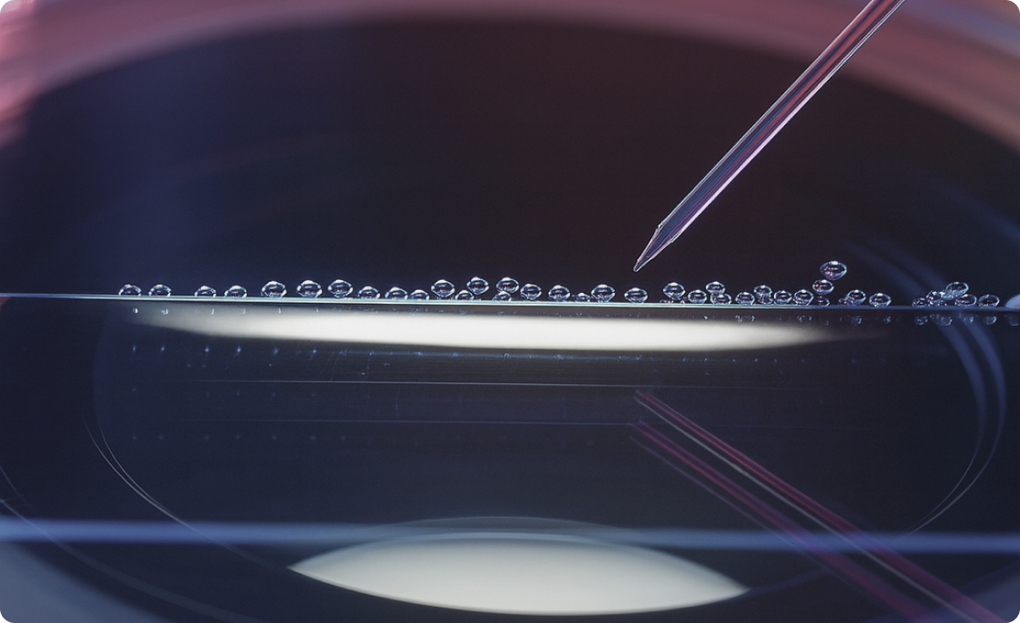 Dual Transfer Precision