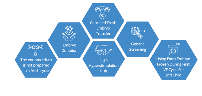 Frozen Embryo Transfer Process and Precautions