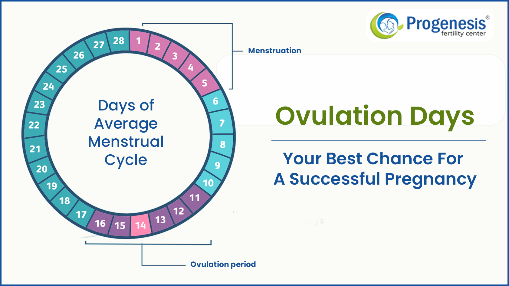 Ovulation Days - Your Best Chance For A Successful Pregnancy